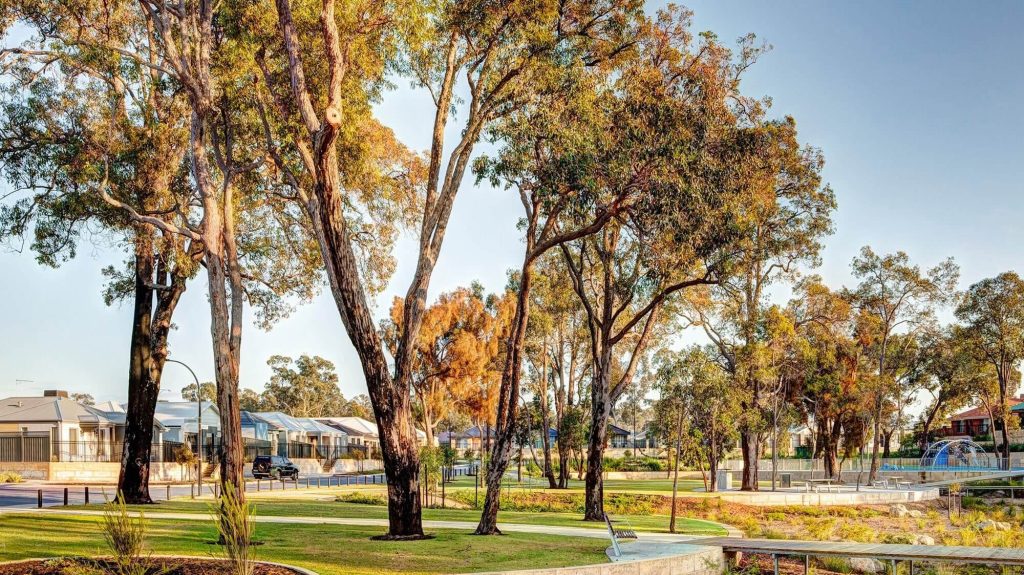 A park in Wellard where Move Homes offers affordable house and land packages for new home buyers in Perth