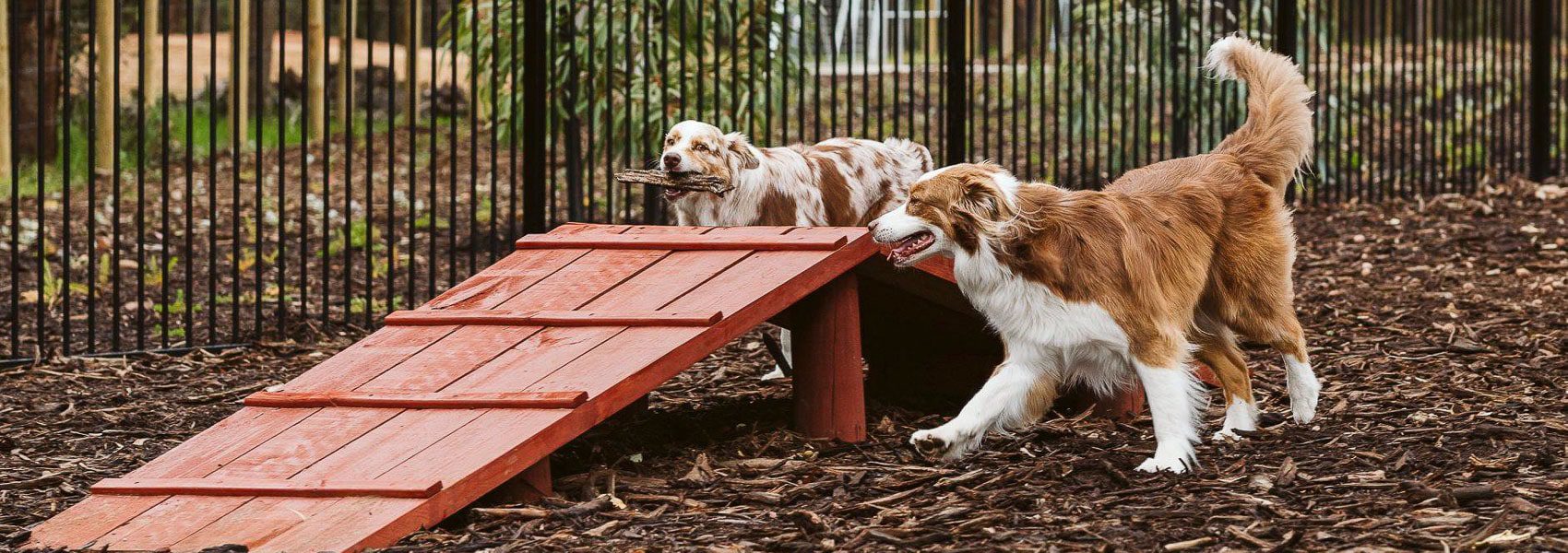 Bushmead Dog Park is close to residents in Guildford and Midland